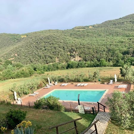Podere Le Mulina Кастильоне-д'Орчия Экстерьер фото