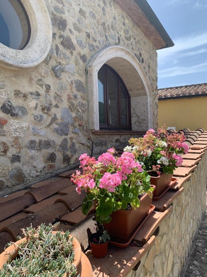 Podere Le Mulina Кастильоне-д'Орчия Экстерьер фото