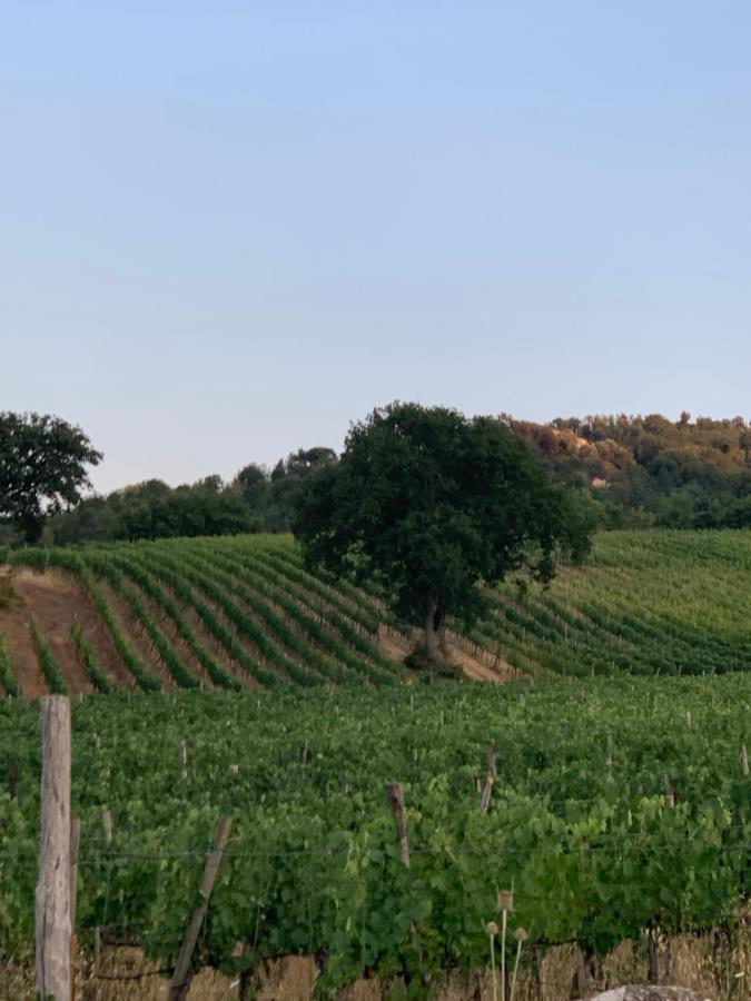 Podere Le Mulina Кастильоне-д'Орчия Экстерьер фото